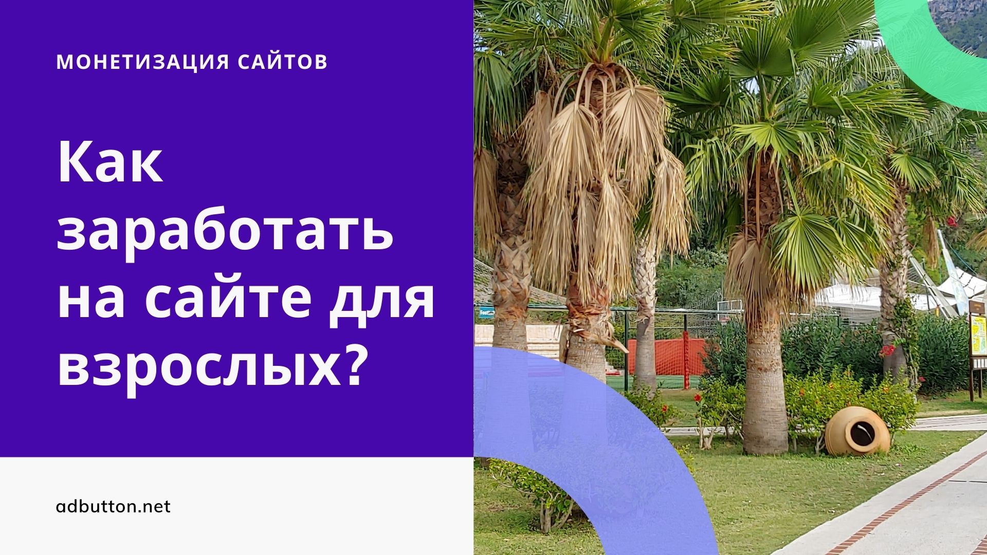 Доход вебмастера: развлекательные сайты для взрослых Доход вебмастера: развлекательные сайты для взрослых