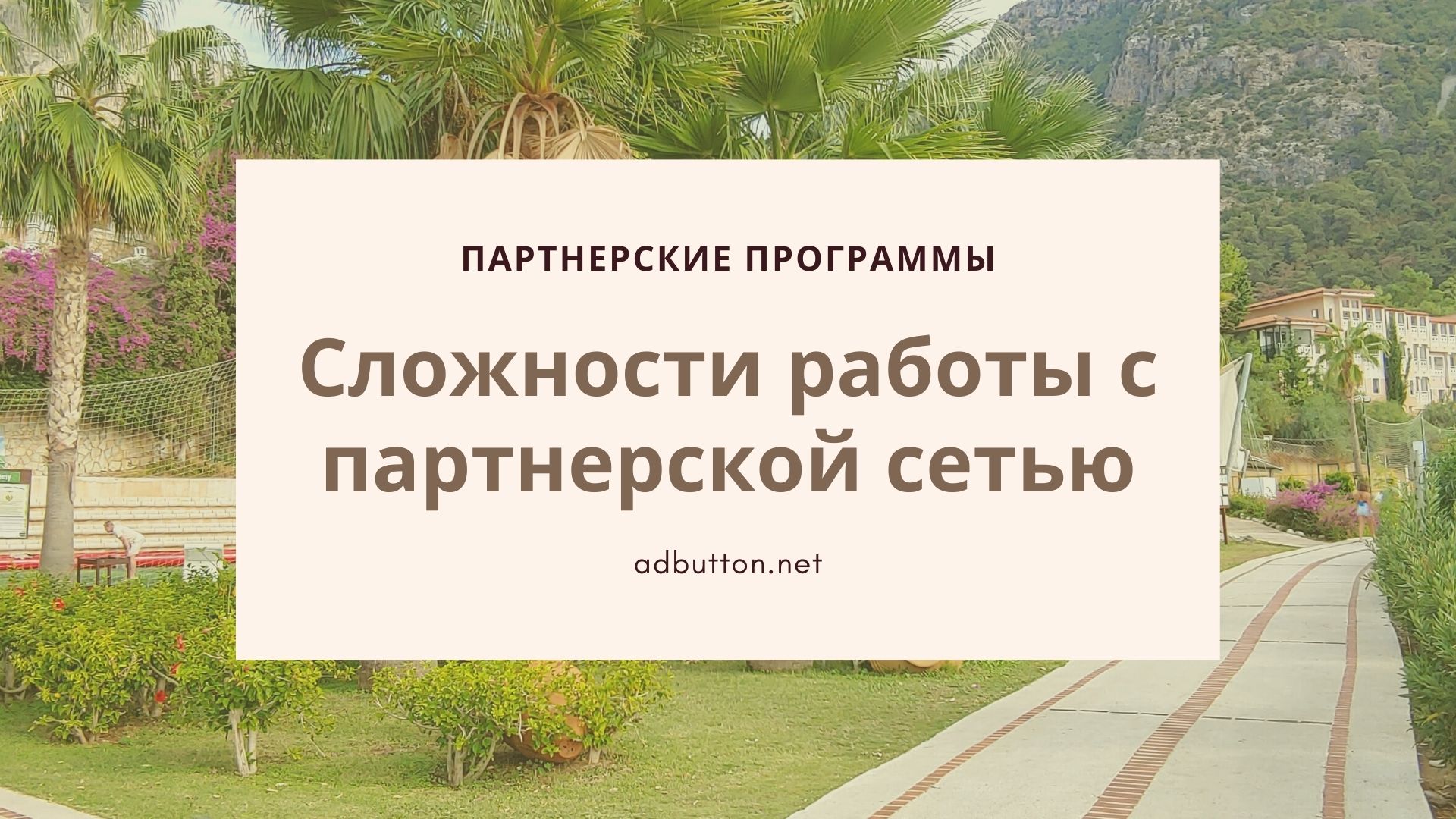 Арбитражник трафика: сложности работы с партнерской сетью Арбитражник трафика: сложности работы с партнерской сетью