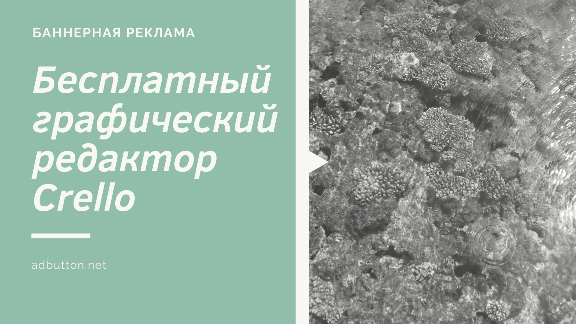 Графический редактор Crello: как создавать рекламные креативы? Графический редактор Crello: как создавать рекламные креативы?