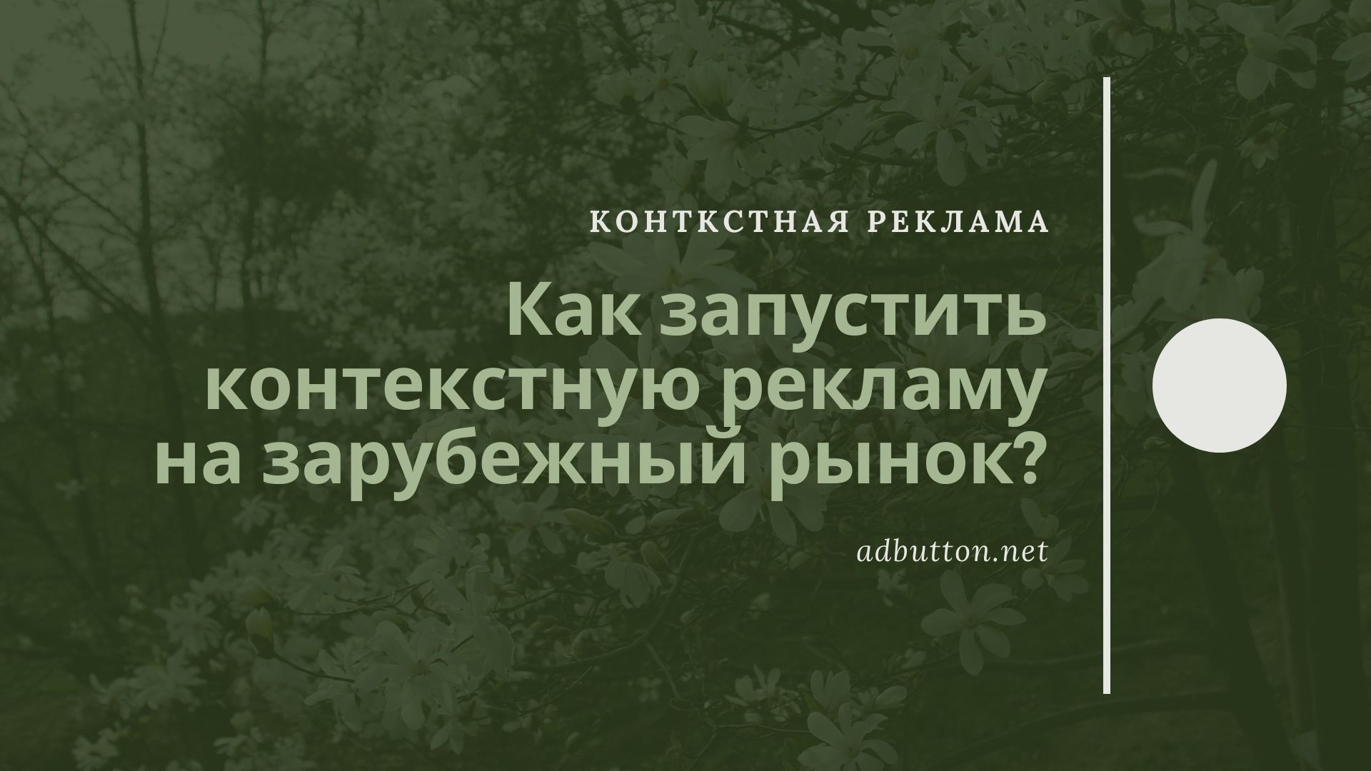 Как настроить контекстную рекламу на зарубежный рынок?
Как настроить контекстную рекламу на зарубежный рынок?
