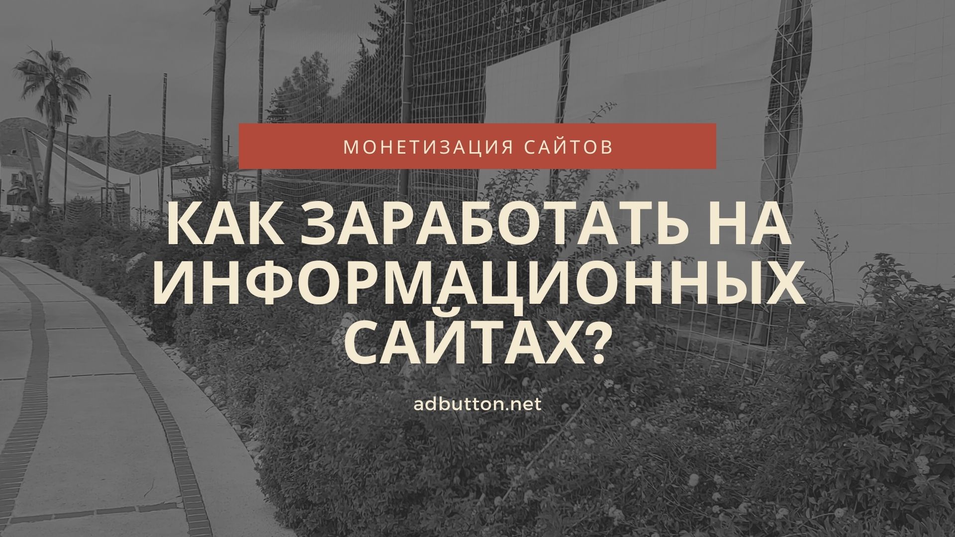 Создание информационного сайта для заработка: виды монетизации Создание информационного сайта для заработка: виды монетизации