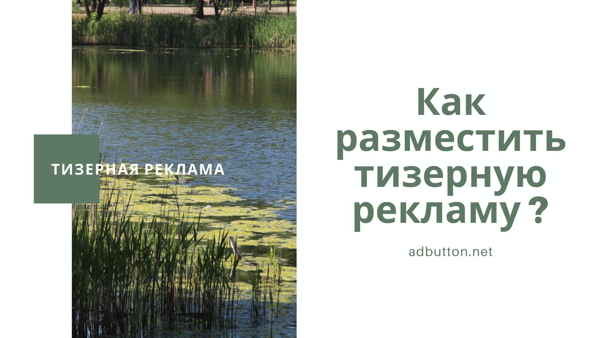 Как настроить тизерную рекламу и выбрать сайт рекламной сети? Как настроить тизерную рекламу и выбрать сайт рекламной сети?