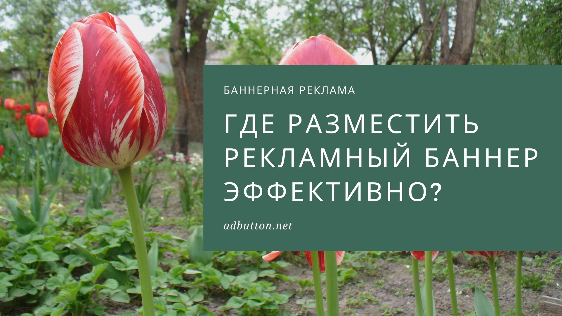 Рекламные места для баннеров: где разместить баннерную рекламу? Рекламные места для баннеров: где разместить баннерную рекламу?