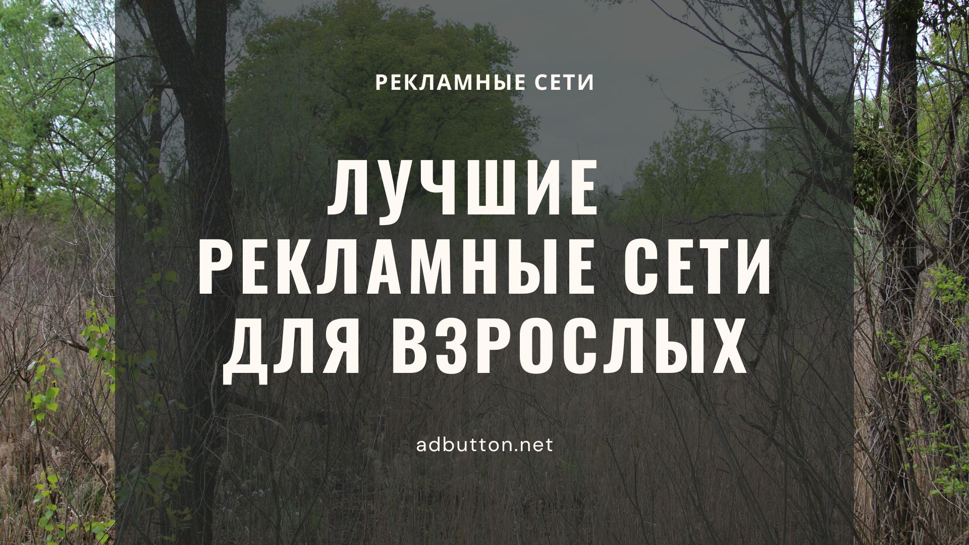 Лучшие источники трафика и рекламные сети для взрослых Лучшие источники трафика и рекламные сети для взрослых