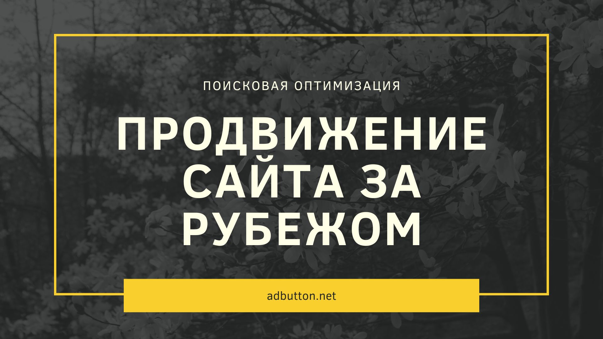 Продвижение за рубежом: советы по SEO на западном рынке Продвижение за рубежом: советы по SEO на западном рынке