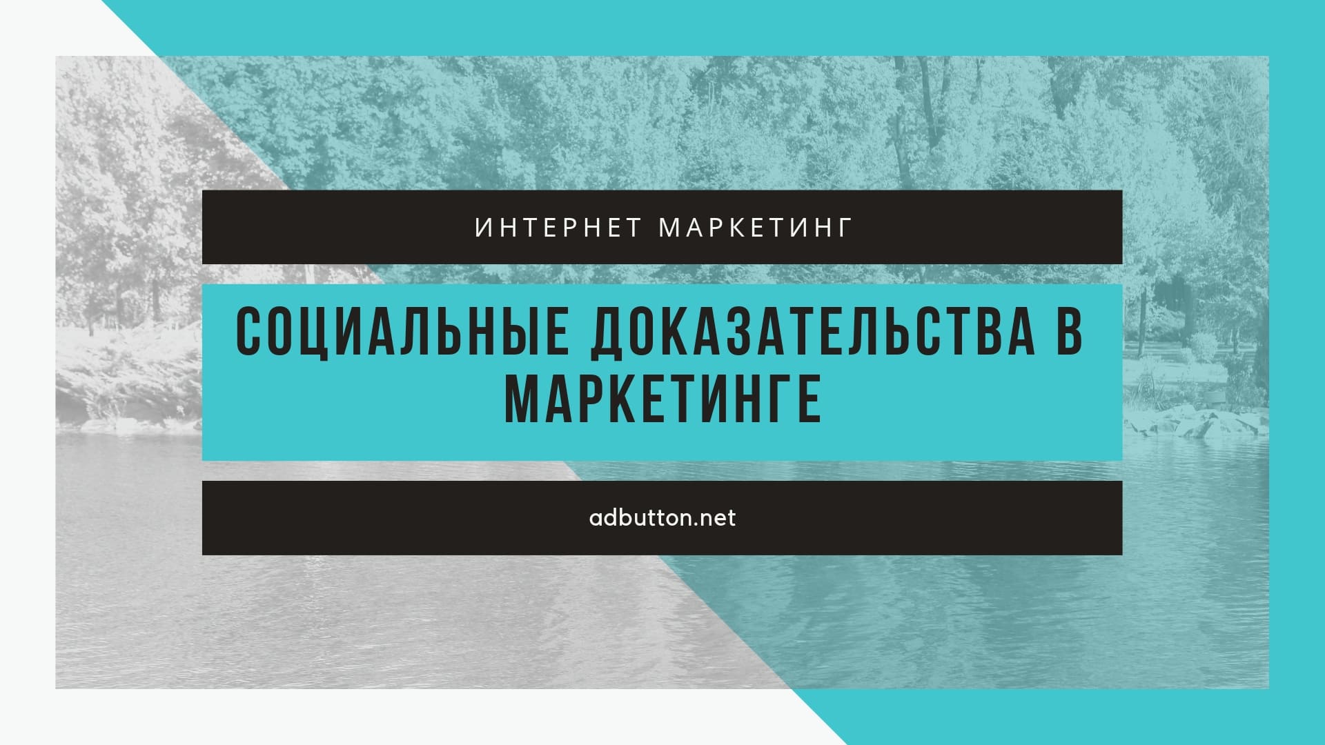 Cоциальное доказательство в интернет маркетинге: примеры и принцип влияния