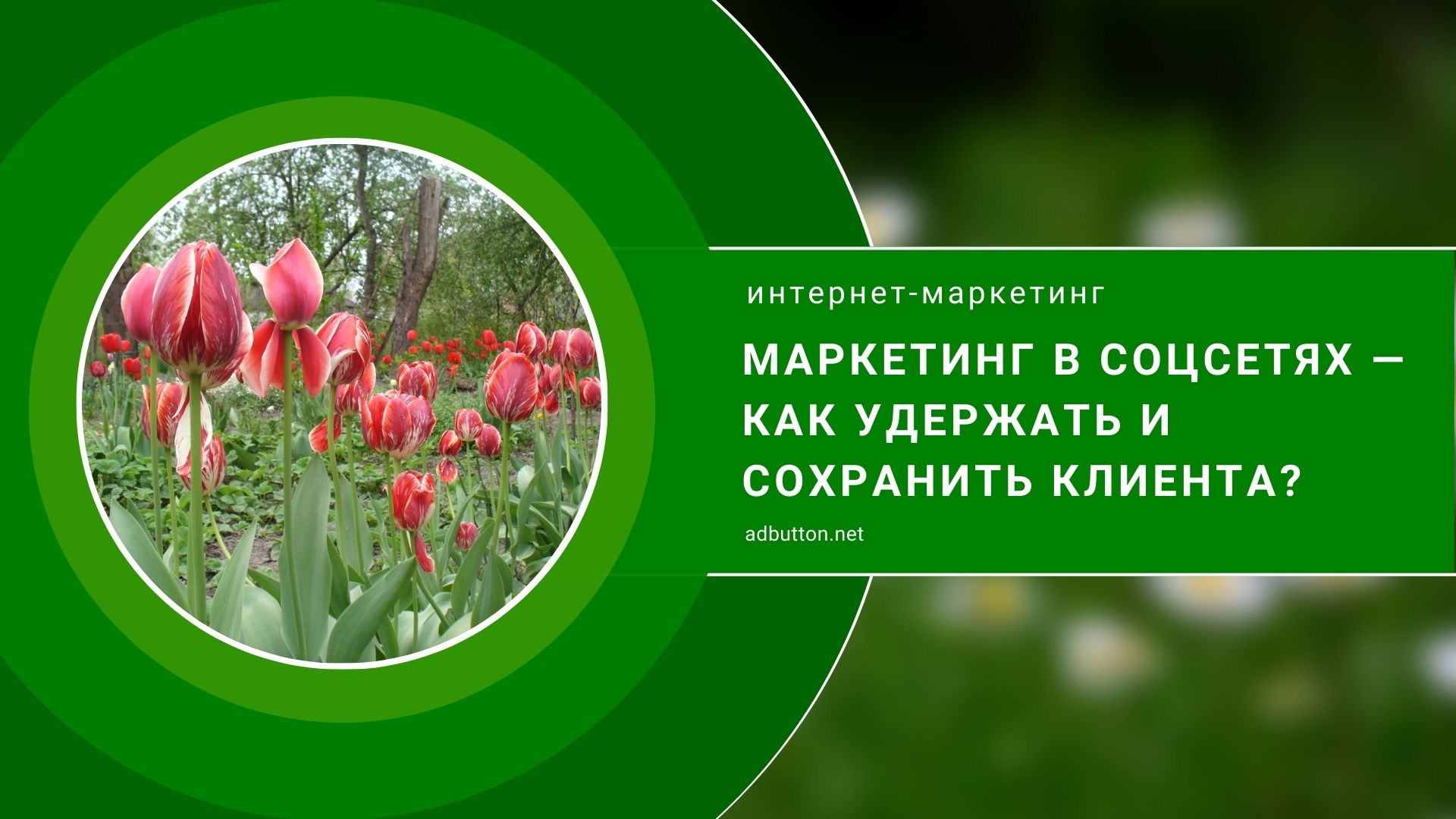 Маркетинг в соцсетях — как удержать и сохранить клиента?