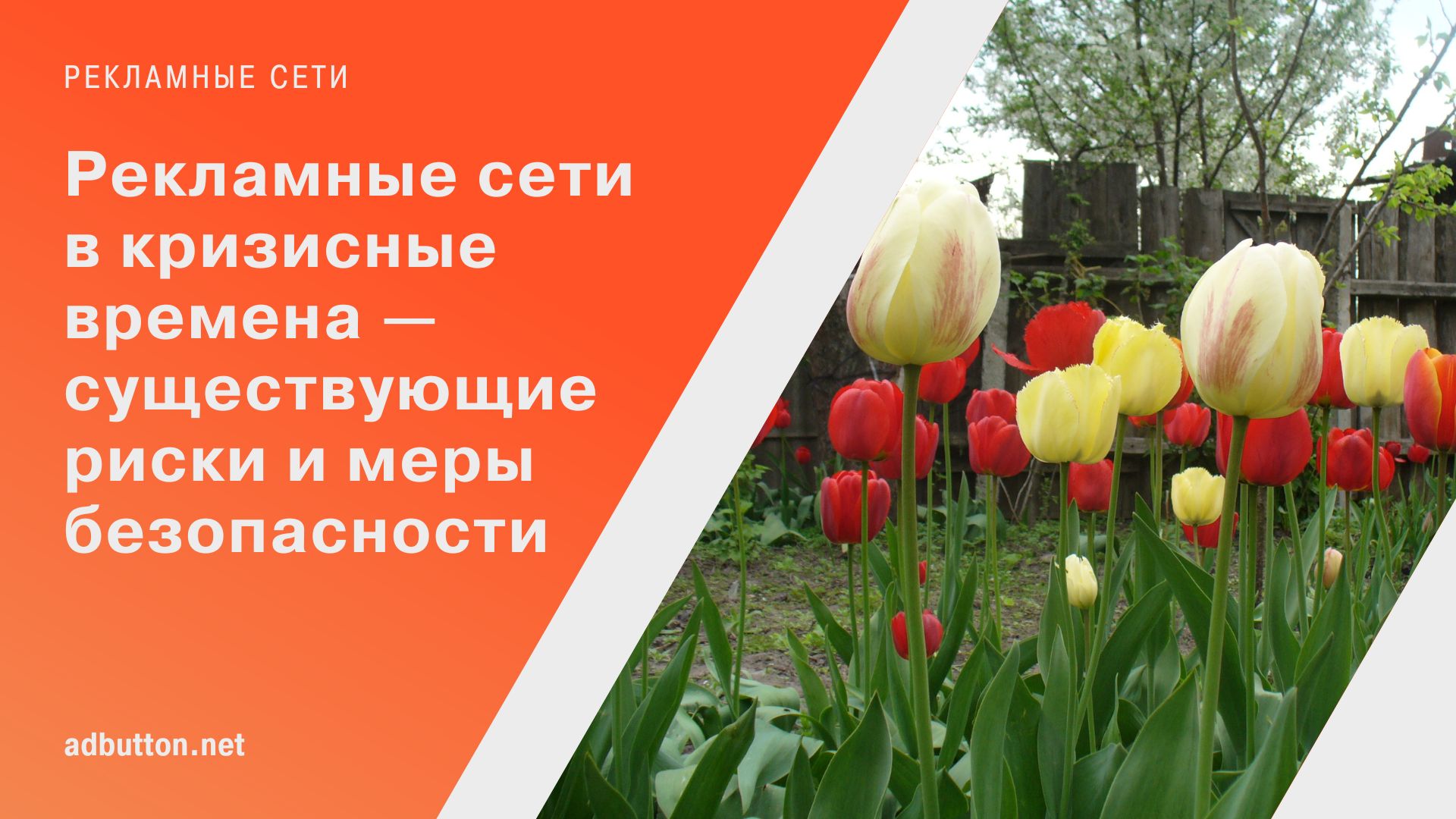 Работа с рекламными сетями в кризис: риски и меры безопасности Работа с рекламными сетями в кризис: риски и меры безопасности