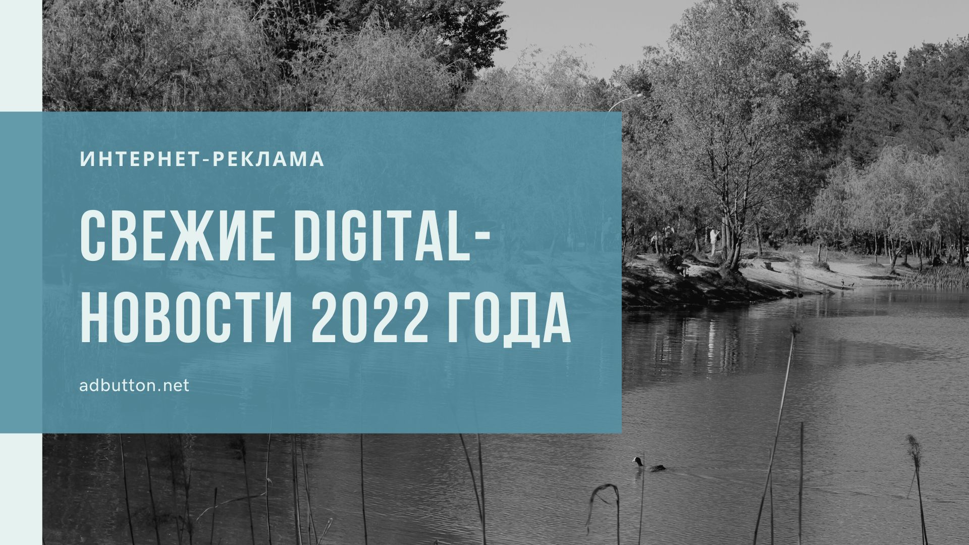 Реклама в интернете: основные тренды в 2022 году Реклама в интернете: основные тренды в 2022 году