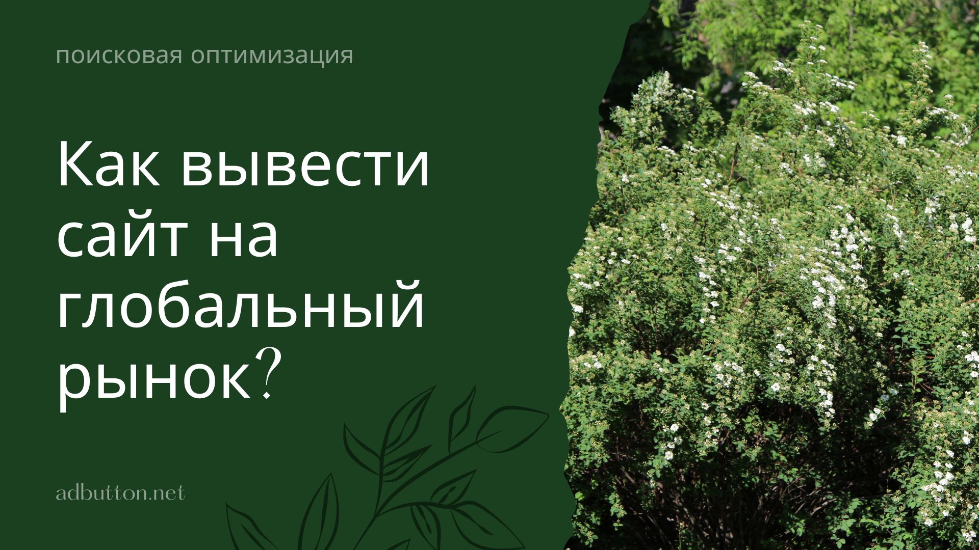 Продвижение зарубежных сайтов: как выйти на глобальный рынок? Продвижение зарубежных сайтов: как выйти на глобальный рынок?