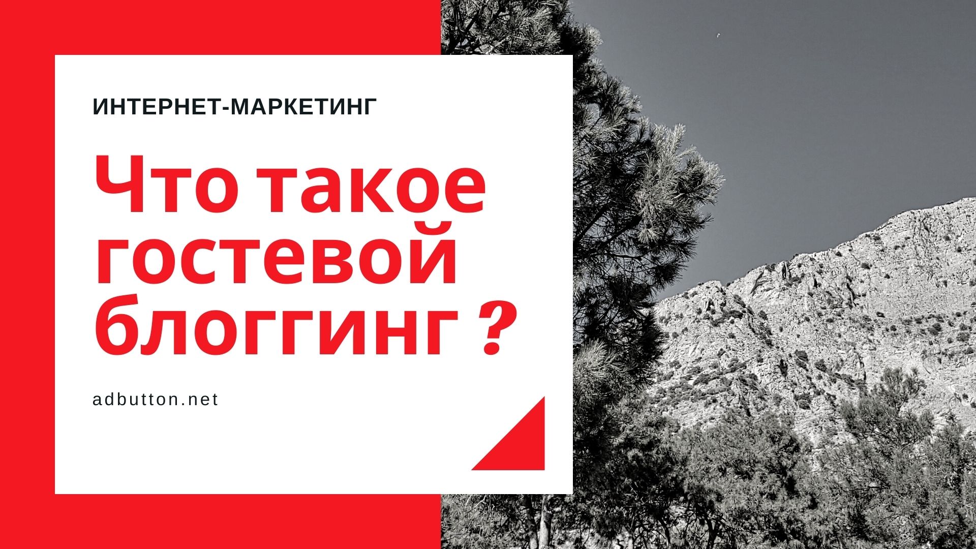 Гостевой блоггинг: как найти внешние ссылки на сайт Гостевой блоггинг: как найти внешние ссылки на сайт