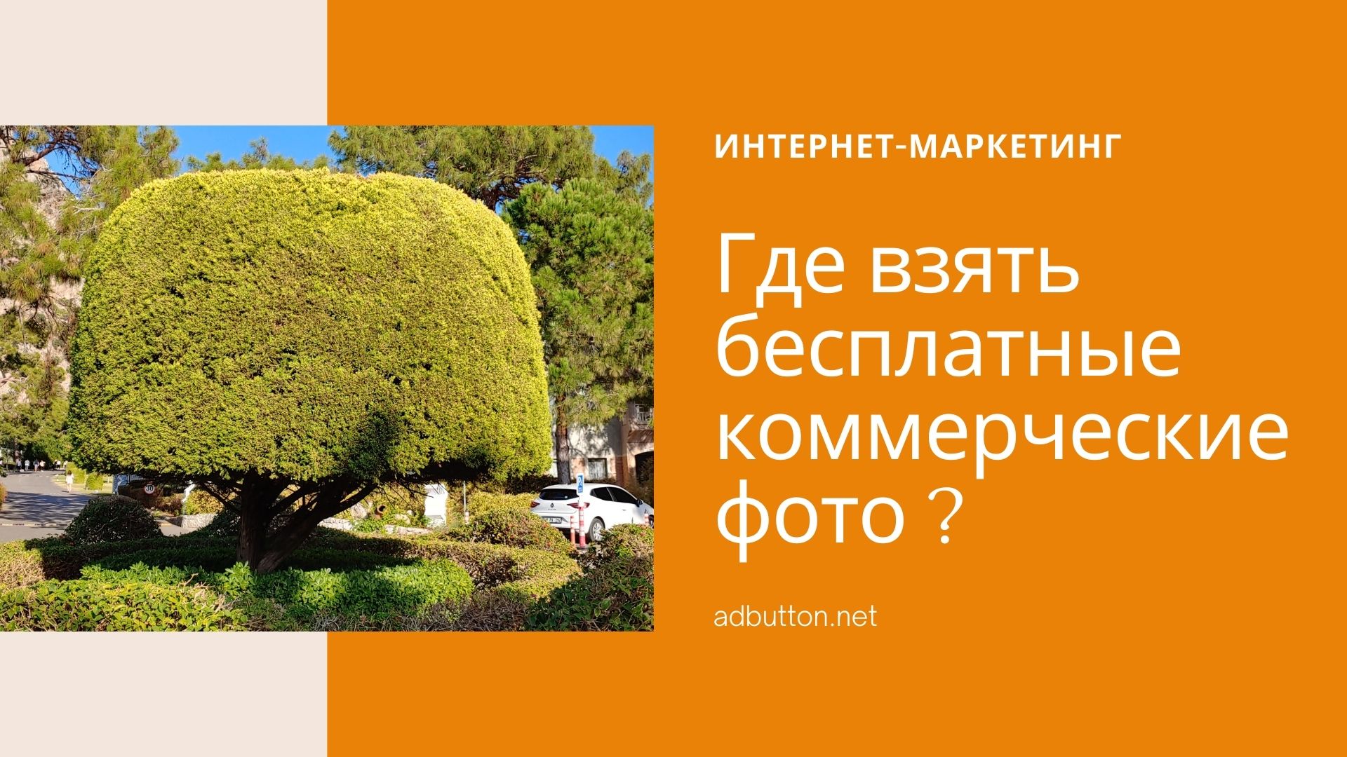 Стоковая фотография: где взять бесплатные коммерческие фото Стоковая фотография: где взять бесплатные коммерческие фото
