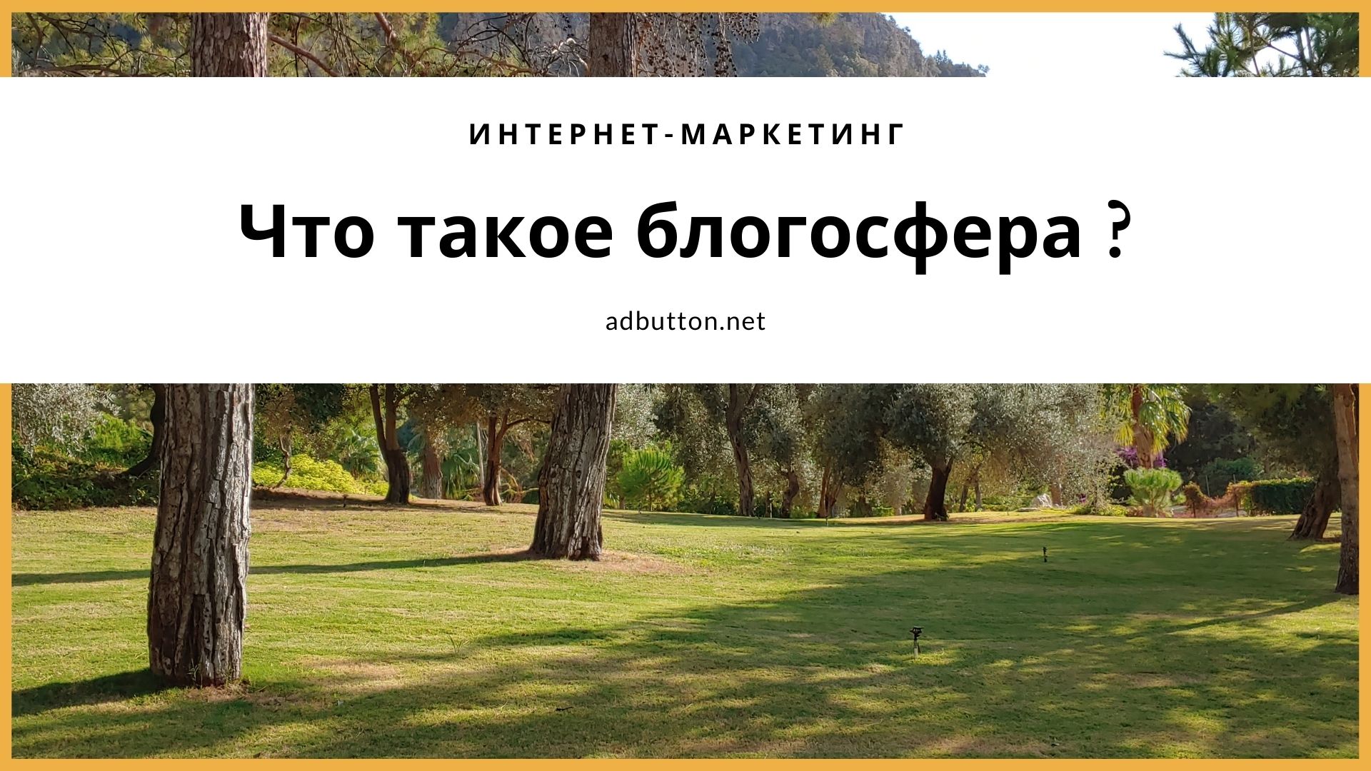 Продвижение в блогосфере: чем полезен личный блог Продвижение в блогосфере: чем полезен личный блог