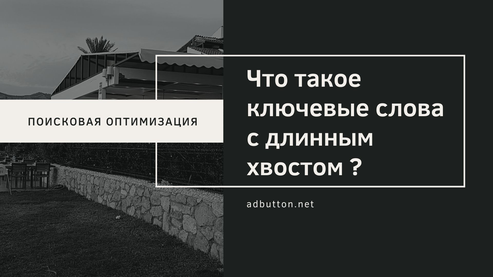 Ключевые слова с длинным хвостом: продающие фразы для SEO Ключевые слова с длинным хвостом: продающие фразы для SEO