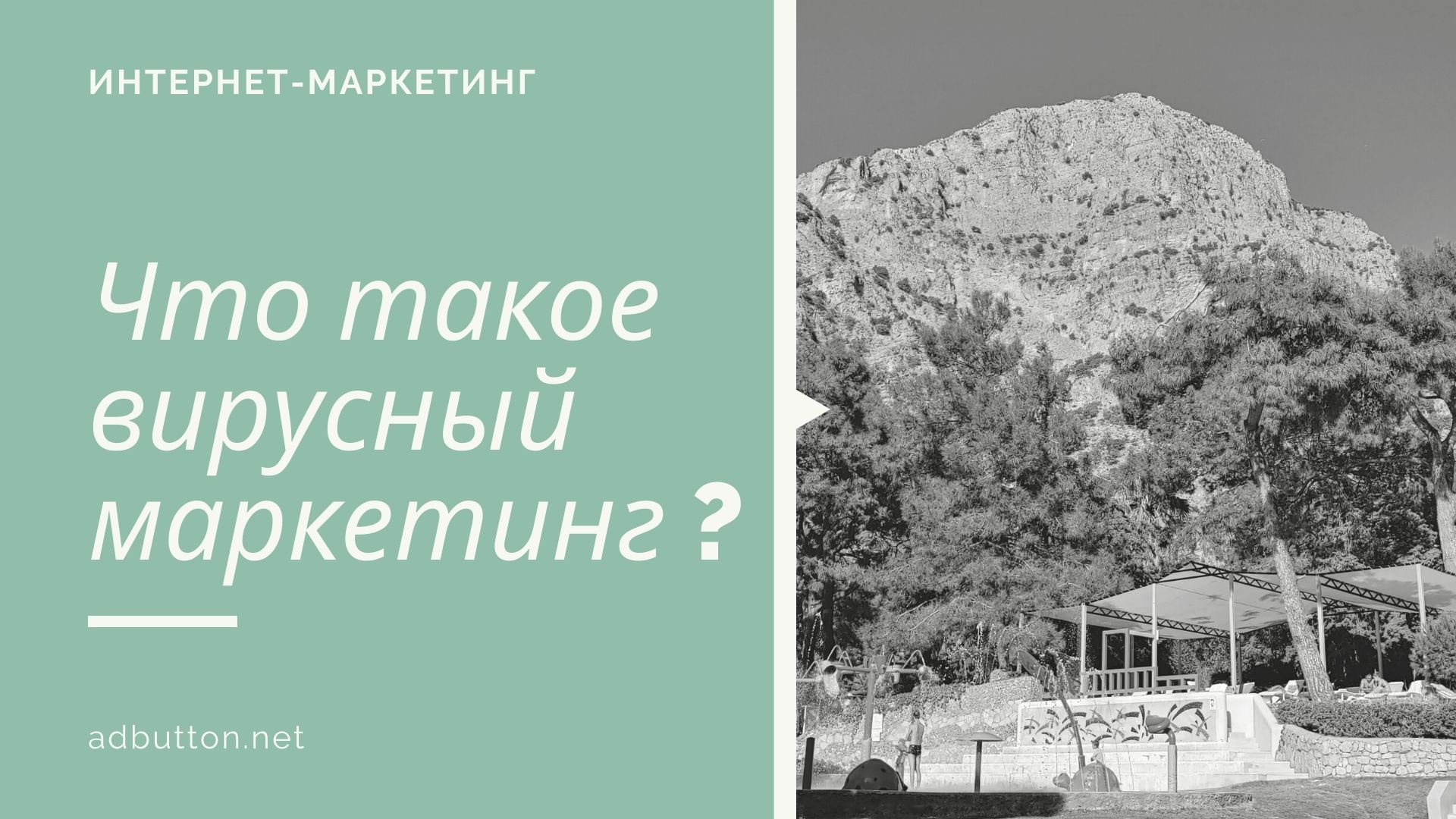 Вирусный маркетинг в интернете: плюсы и минусы Вирусный маркетинг в интернете: плюсы и минусы