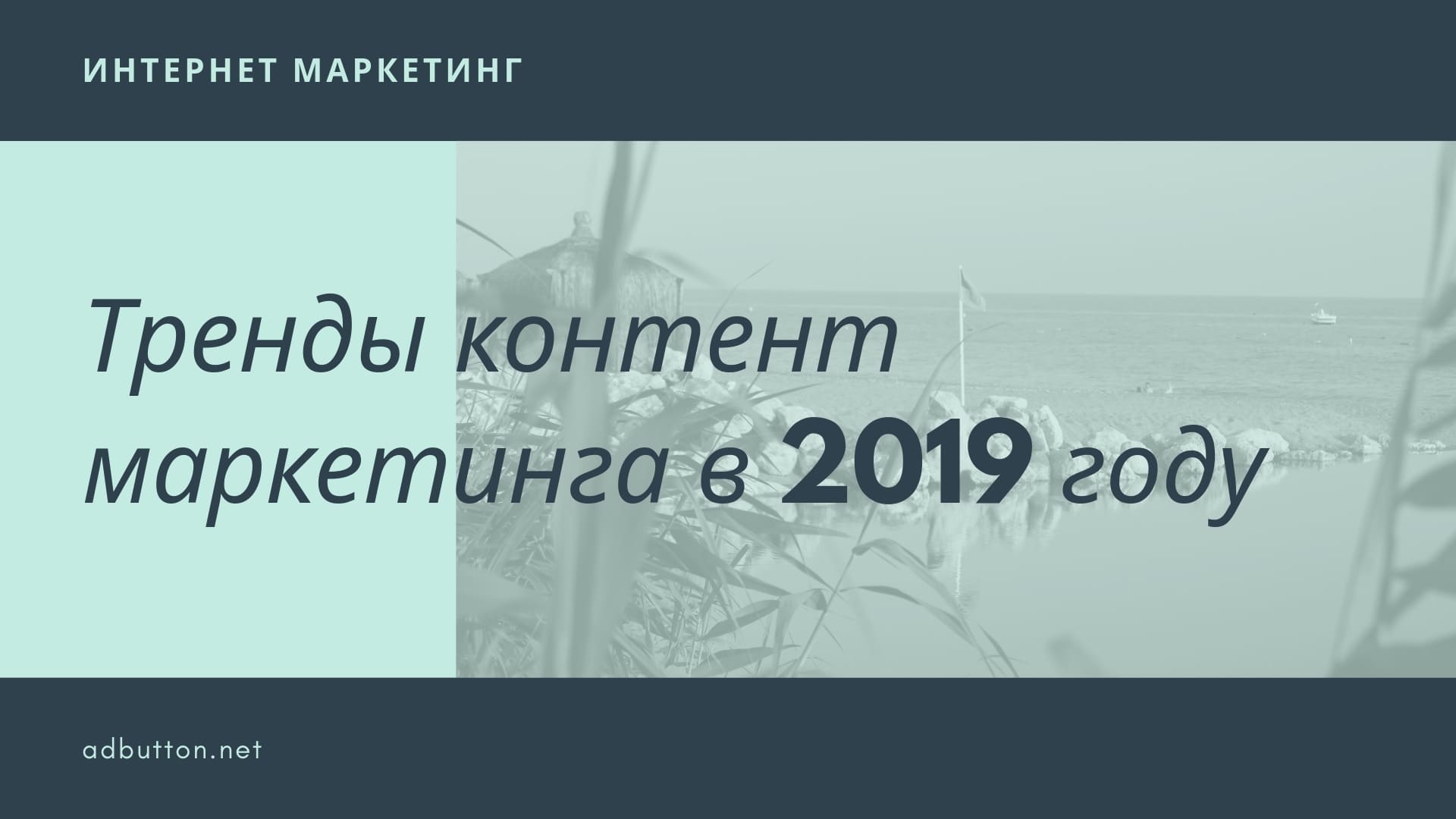 Тренды контент маркетинга: прогнозы и тенденции для начинающих Тренды контент маркетинга: прогнозы и тенденции для начинающих