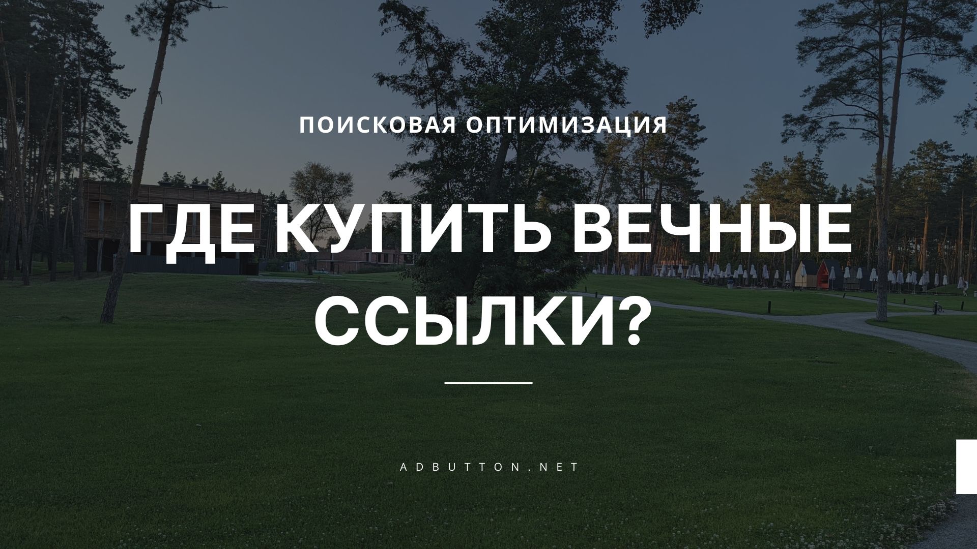 Покупка вечных ссылок для продвижения сайта в интернете Покупка вечных ссылок для продвижения сайта в интернете