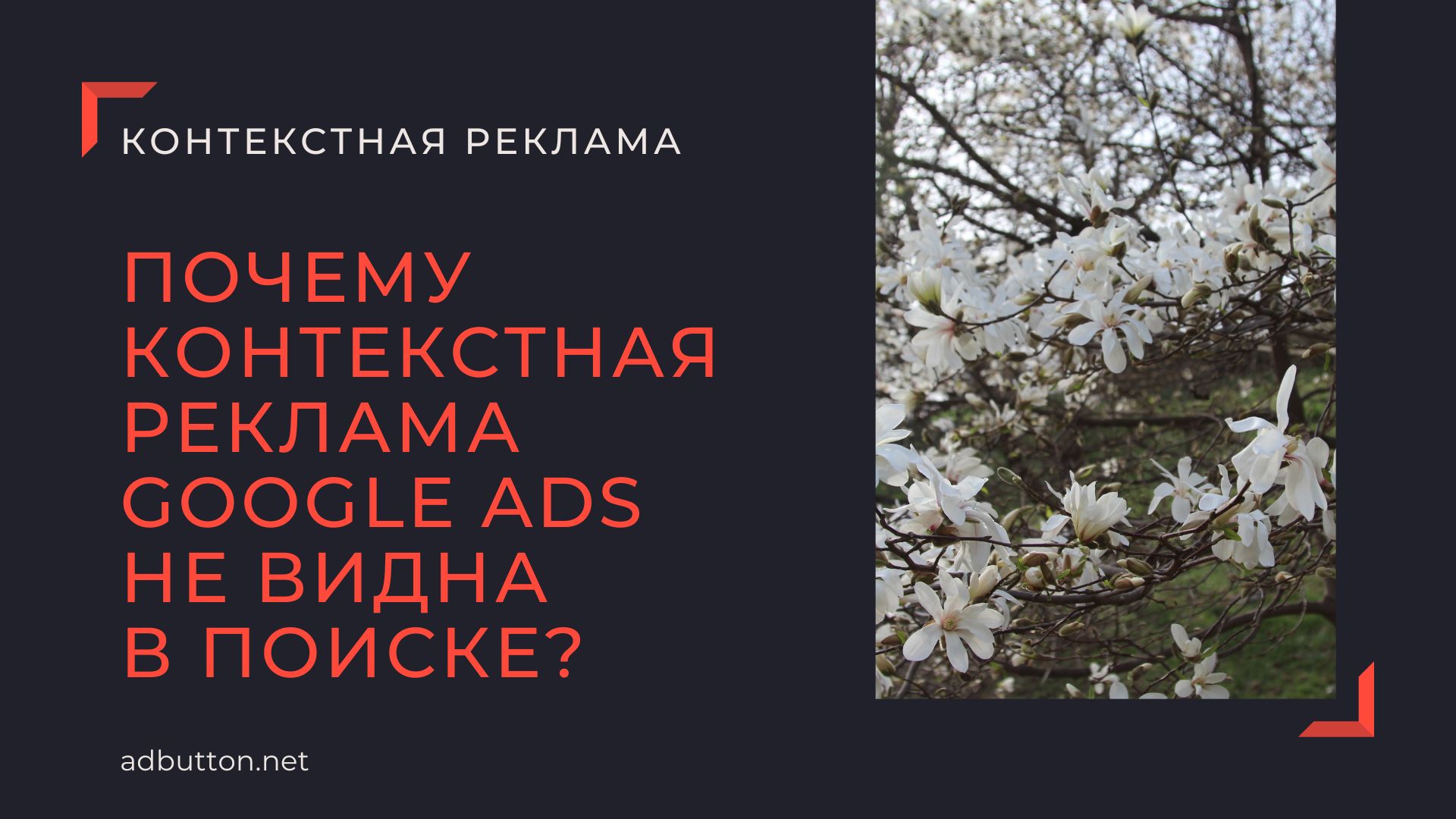 10 причин, почему контекстная реклама Google Ads не показывается 10 причин, почему контекстная реклама Google Ads не показывается
