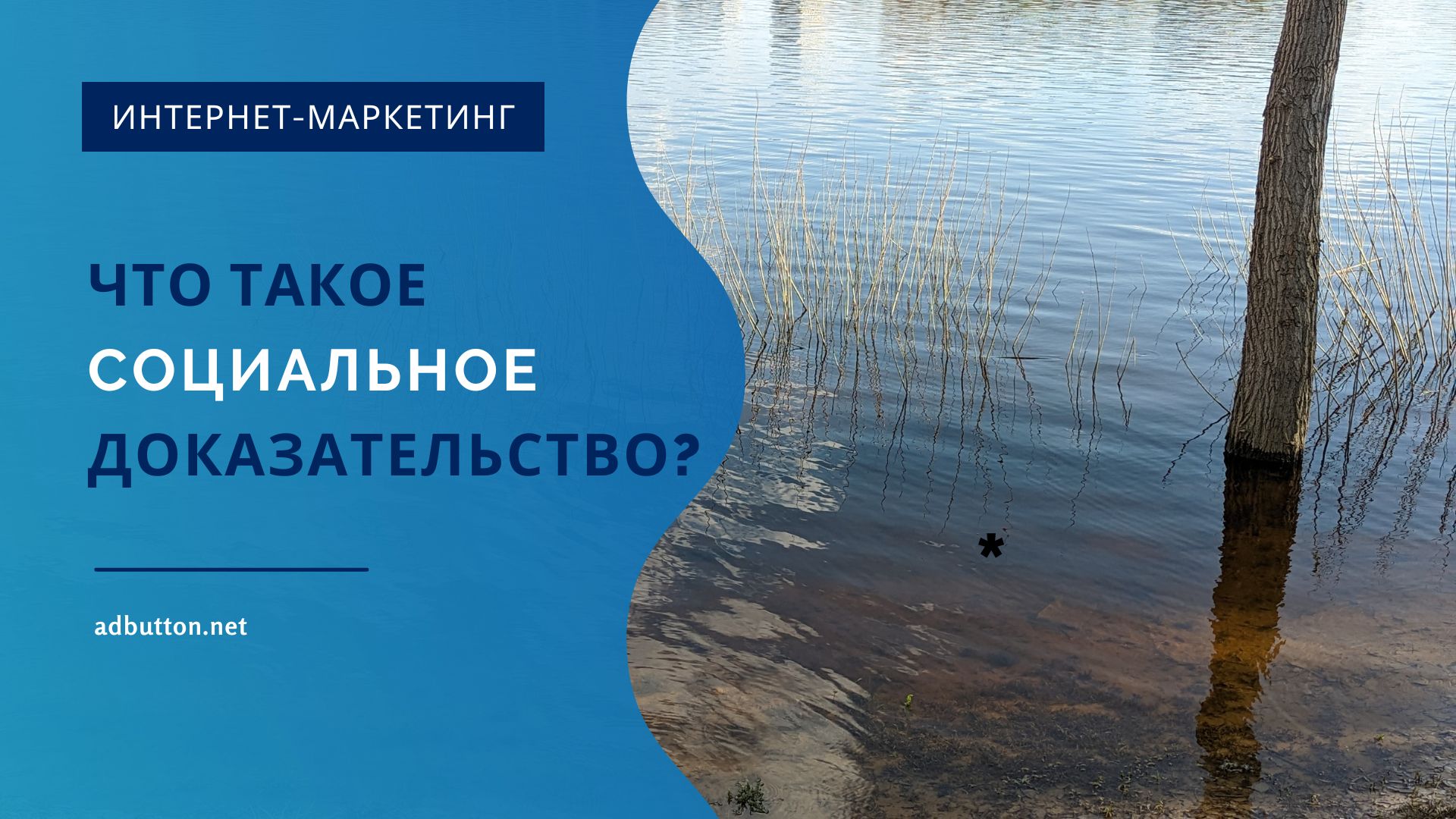 Социальное доказательство: как его использовать и что это такое? Социальное доказательство: как его использовать и что это такое?