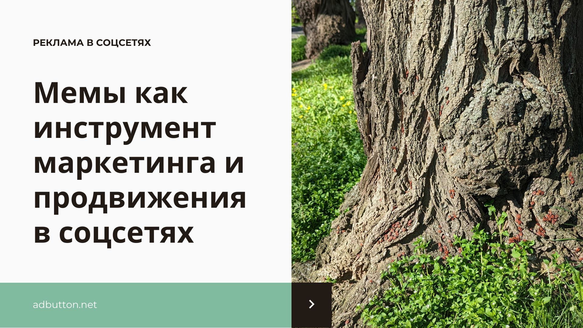 Мемы как инструмент маркетинга и продвижения в соцсетях Мемы как инструмент маркетинга и продвижения в соцсетях