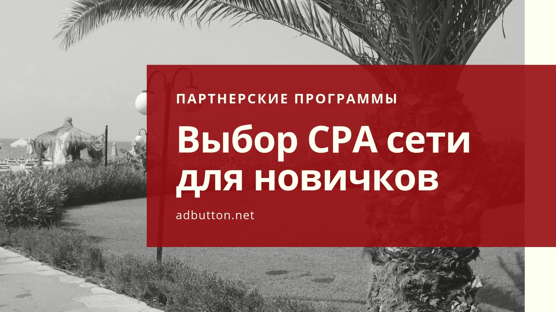 Выбор CPA сети для новичков: размещение рекламы и заработок на офферах