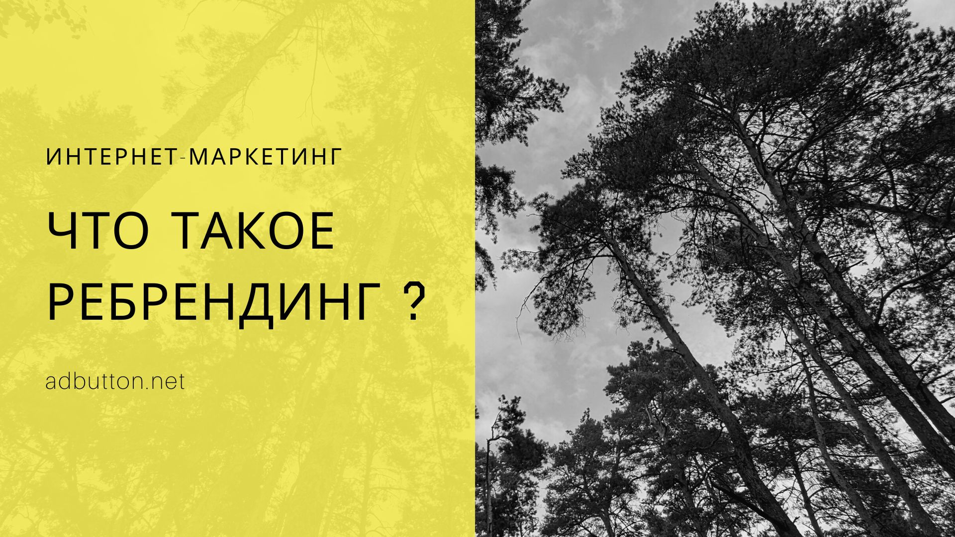 Что такое ребрендинг: как обновить бренд компании Что такое ребрендинг: как обновить бренд компании