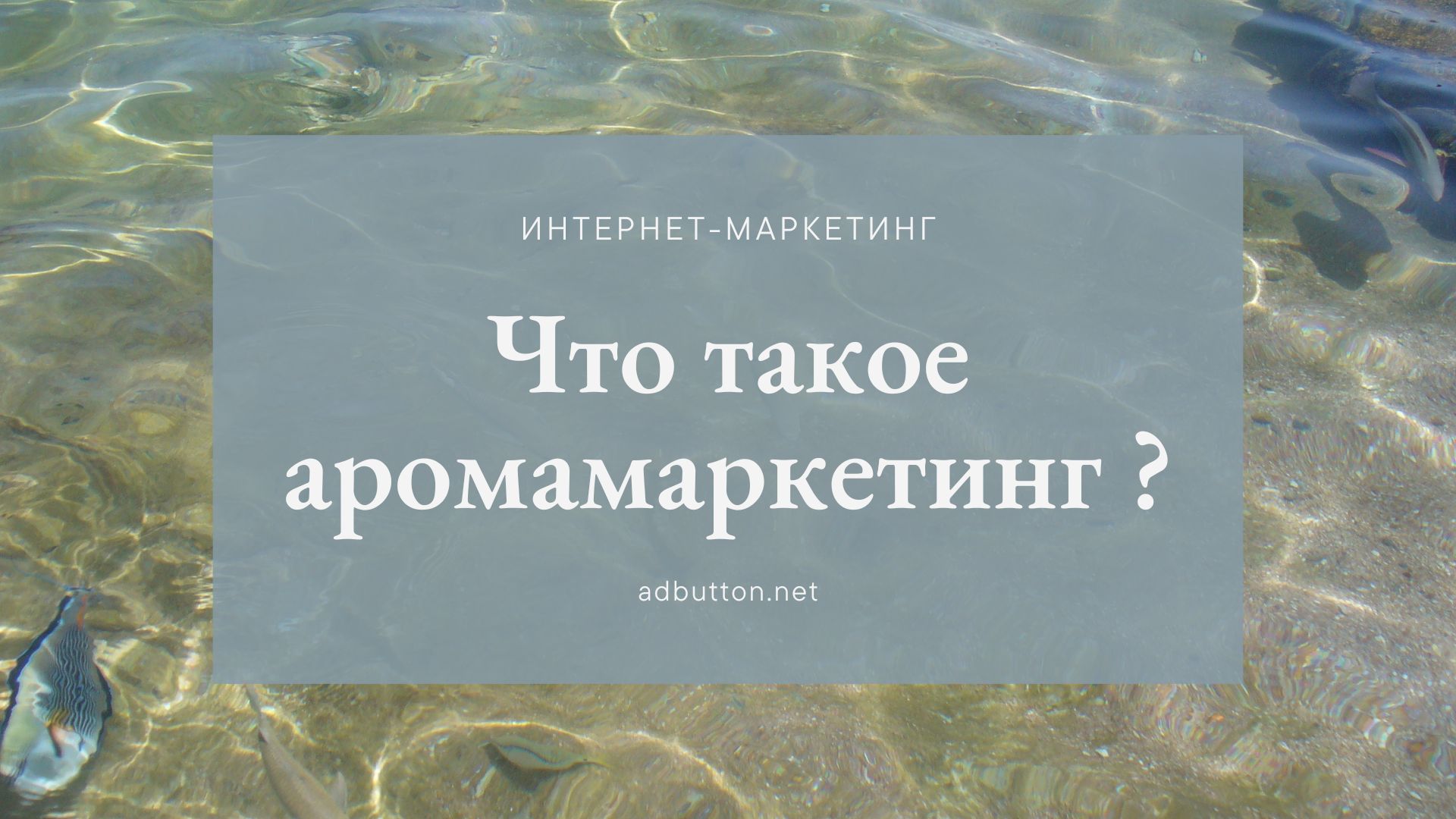 Что такое аромамаркетинг — его влияние на покупателей и клиентов?