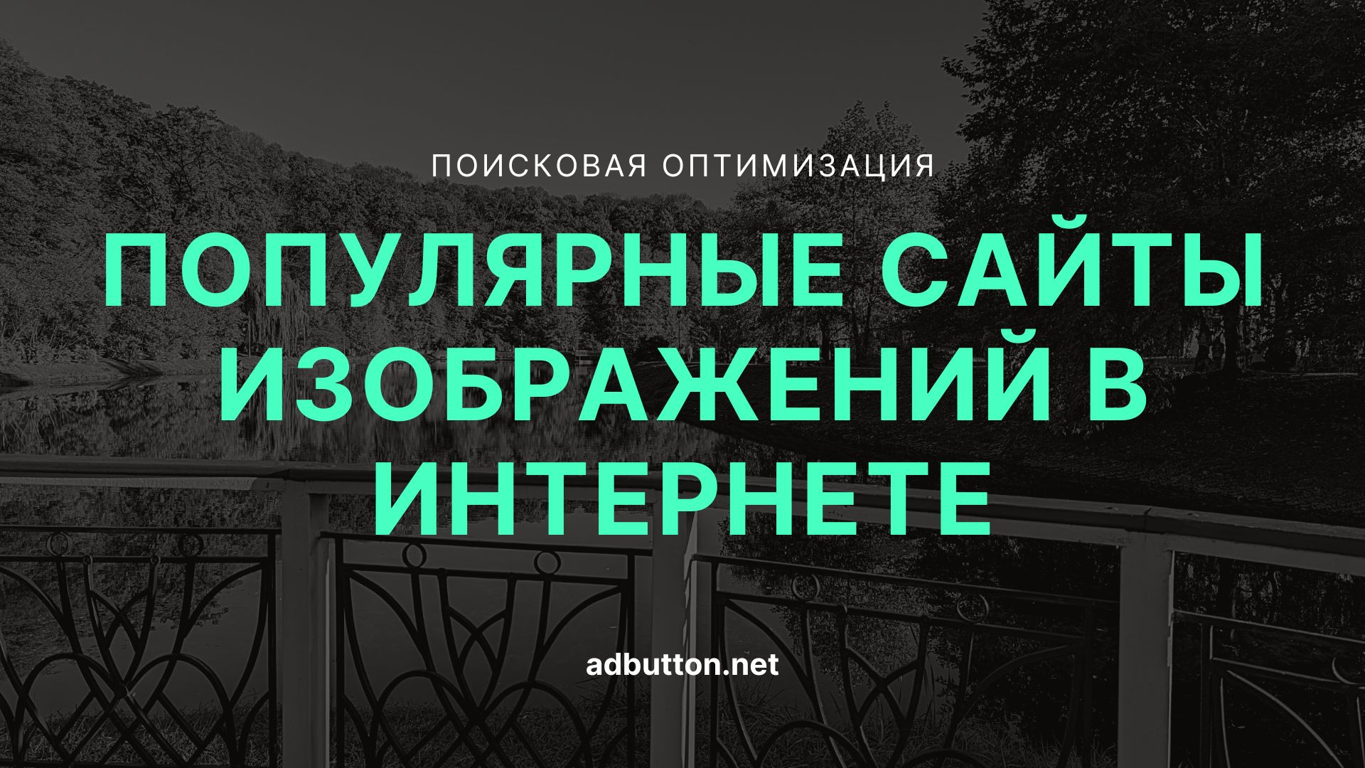 Поиск изображений в интернете: популярные сайты и сервисы Поиск изображений в интернете: популярные сайты и сервисы