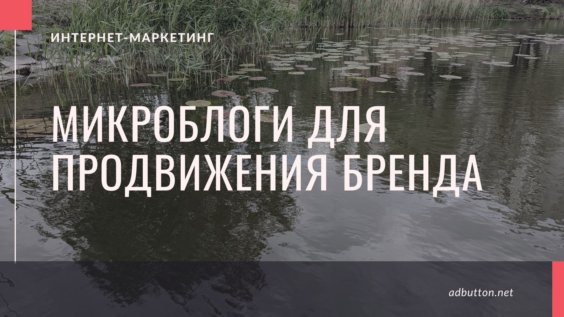Микроблоги для продвижения бренда и узнаваимости компании