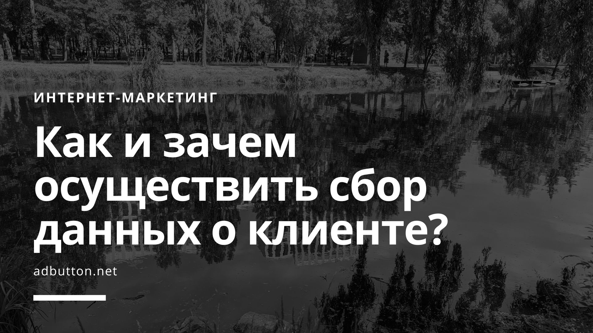 Как и зачем осуществить сбор данных о клиенте через сайт в интернете?
