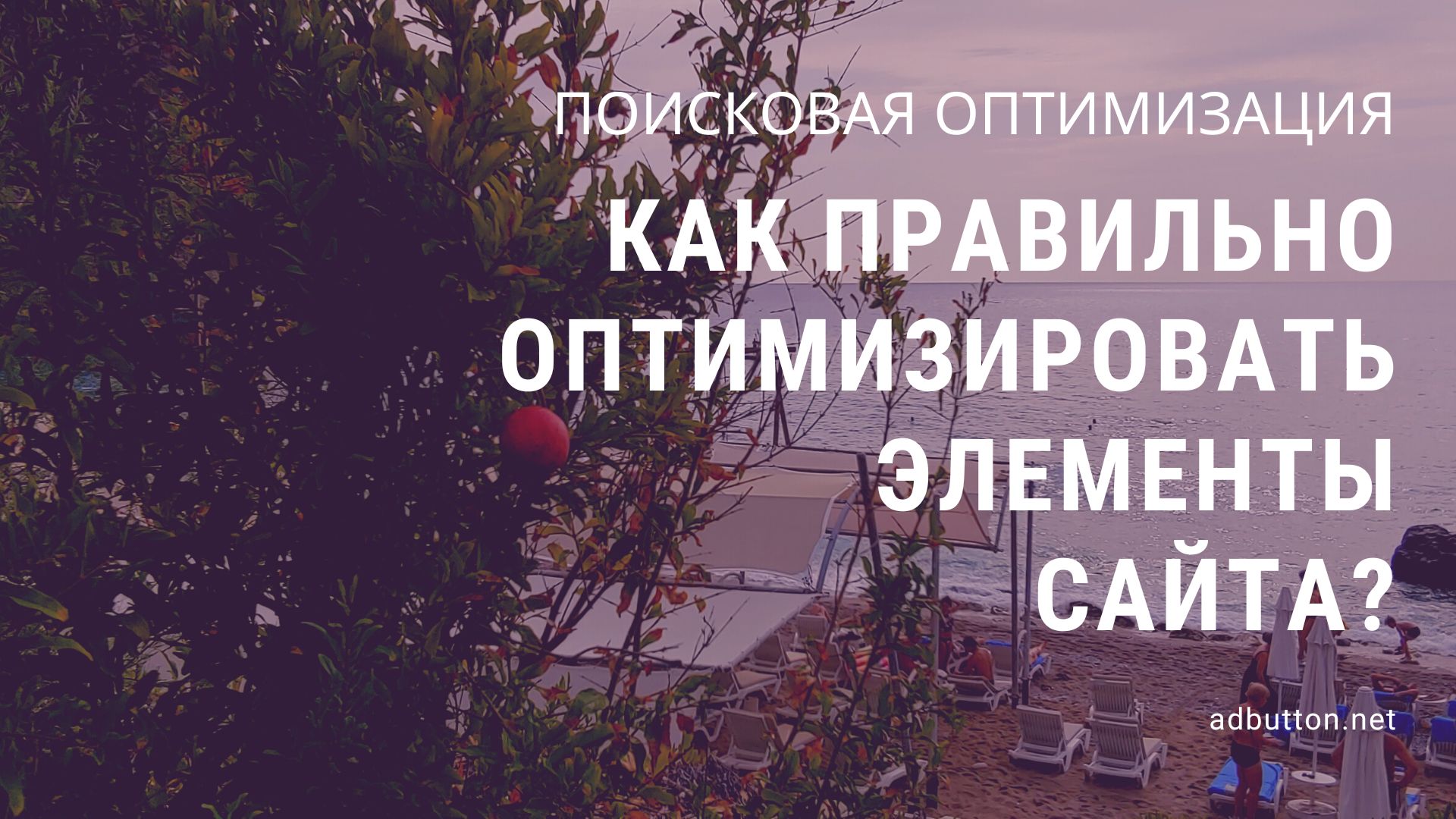 Поисковая оптимизация элементов сайта для новичков Поисковая оптимизация элементов сайта для новичков