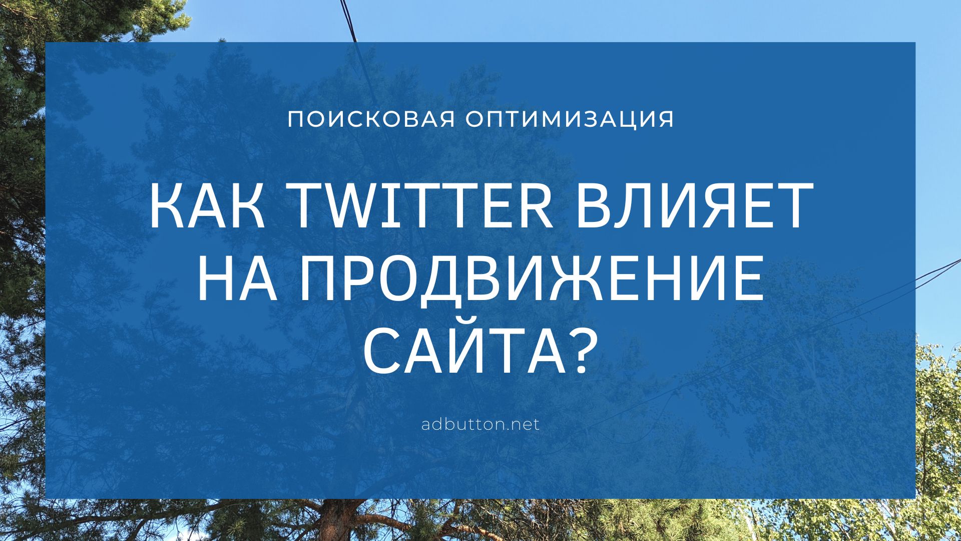 Как Twitter влияет на продвижение и позиции сайтов? Как Twitter влияет на продвижение и позиции сайтов?