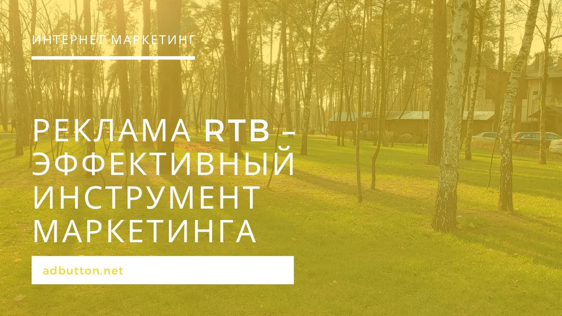 Реклама RTB – эффективный инструмент маркетинга для продвижения сайта