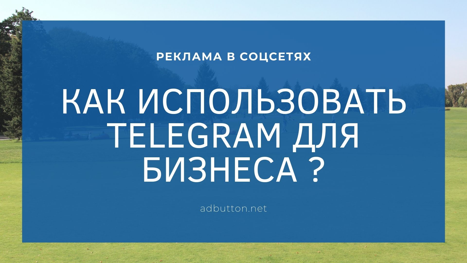 Telegram для бизнеса: секретный чат в мобильном приложении
