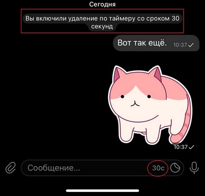 Автоуничтожение через полминуты сообщений в Телеграм