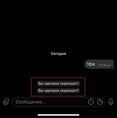 Снимок экрана в секретных чатах Телеграм