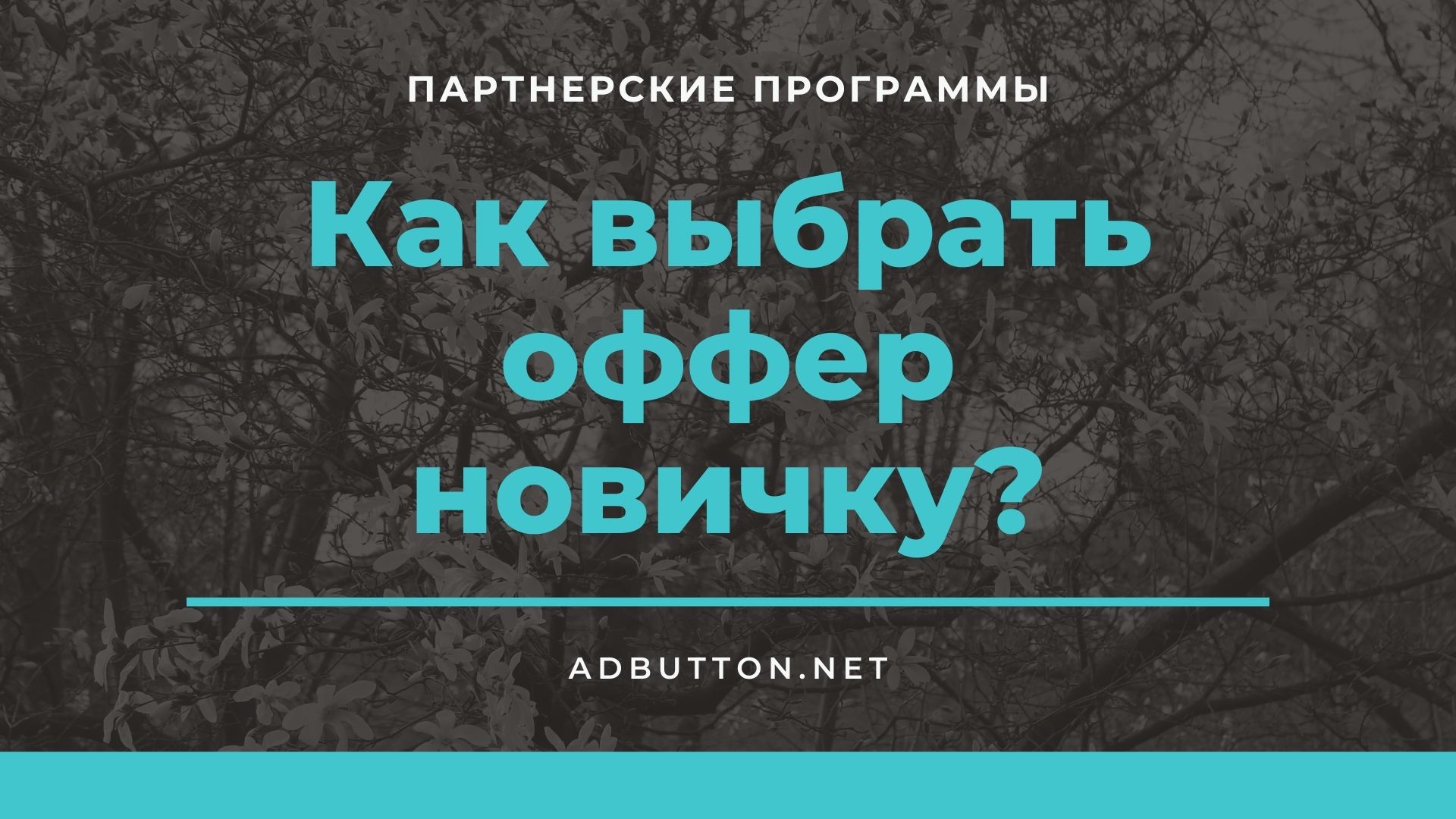 Принципы выбора партнерской программы для новичков